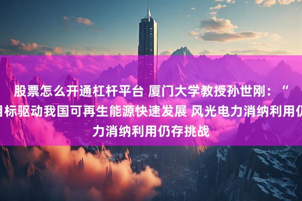 股票怎么开通杠杆平台 厦门大学教授孙世刚：“双碳”目标驱动我国可再生能源快速发展 风光电力消纳利用仍存挑战